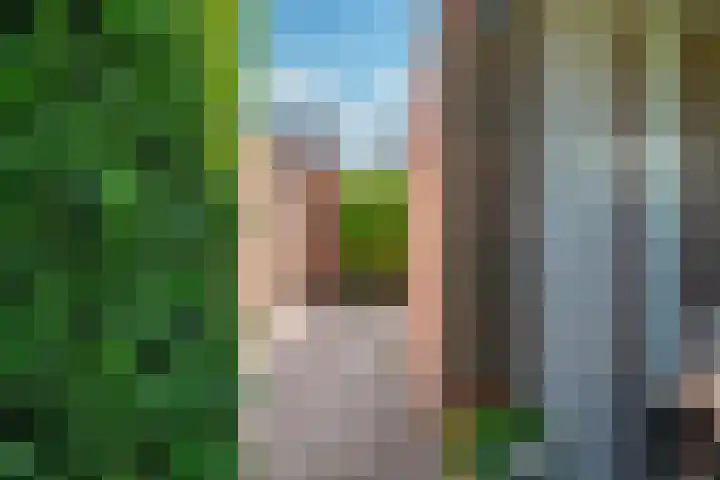 Noordermeent 14 Kraggenburg thumbnail 35