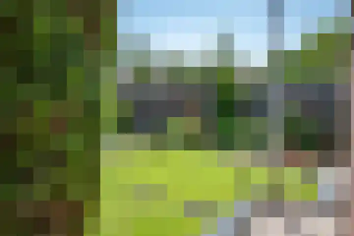 Noordermeent 14 Kraggenburg thumbnail 36
