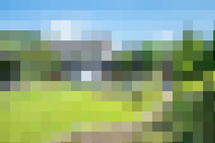 Noordermeent 14 Kraggenburg thumbnail 37