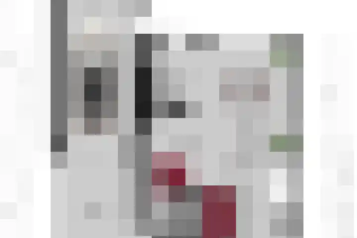 Noordermeent 14 Kraggenburg thumbnail 38