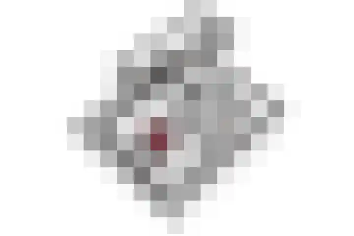 Noordermeent 14 Kraggenburg thumbnail 39