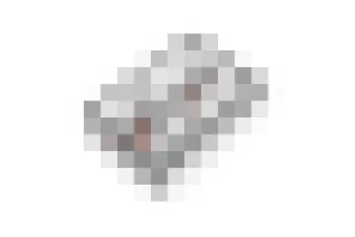 Noordermeent 14 Kraggenburg thumbnail 41