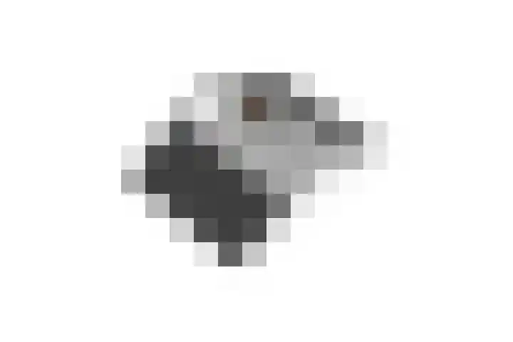 Noordermeent 14 Kraggenburg thumbnail 43
