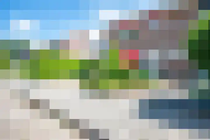 Noordermeent 14 Kraggenburg thumbnail 5