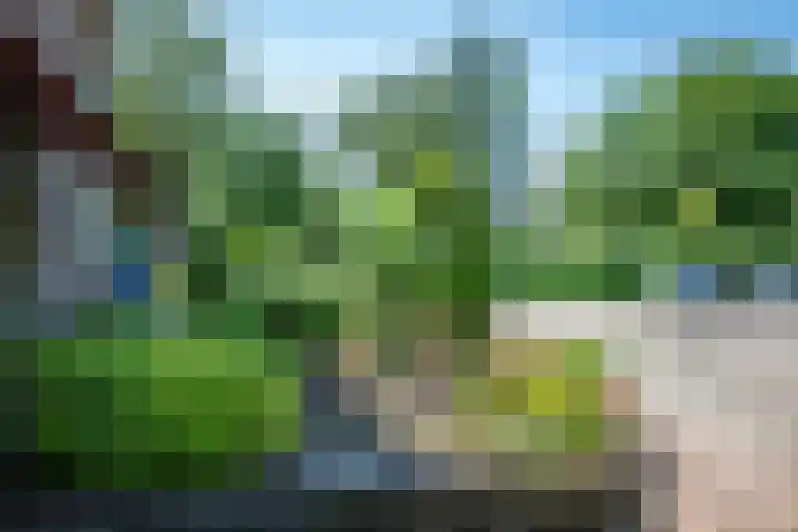 Noordermeent 14 Kraggenburg thumbnail 6
