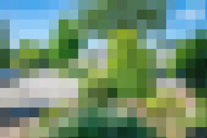 Noordermeent 14 Kraggenburg thumbnail 7