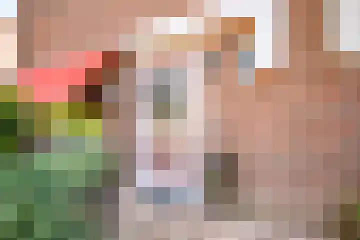 Noordermeent 14 Kraggenburg thumbnail 8