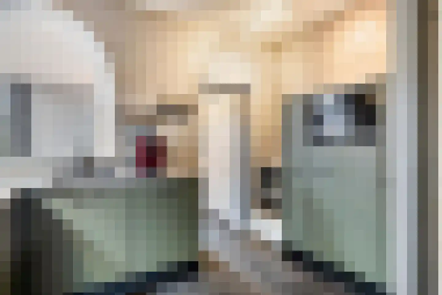 Noordermeent 23 Kraggenburg thumbnail 17