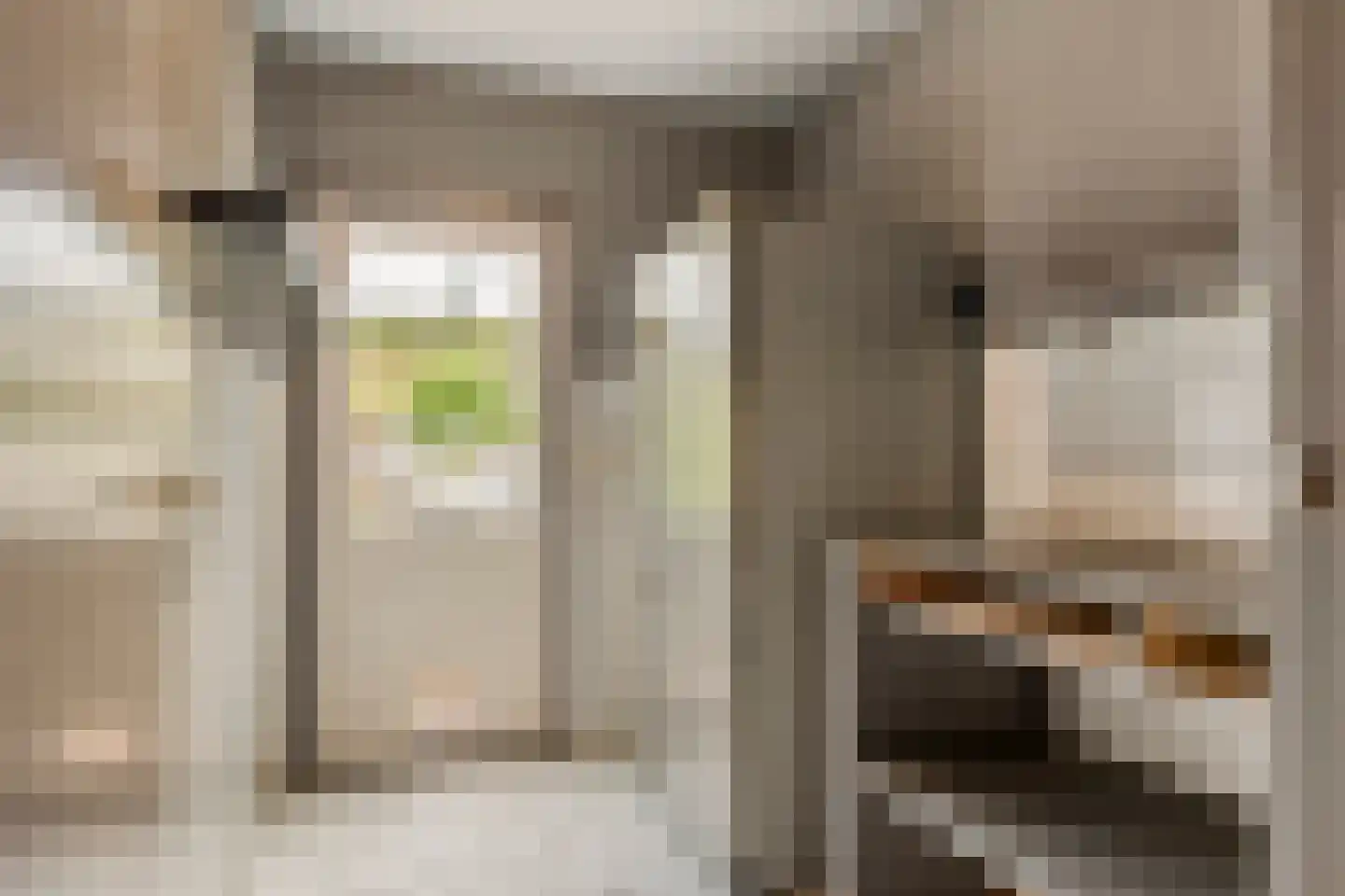Noordermeent 23 Kraggenburg thumbnail 18