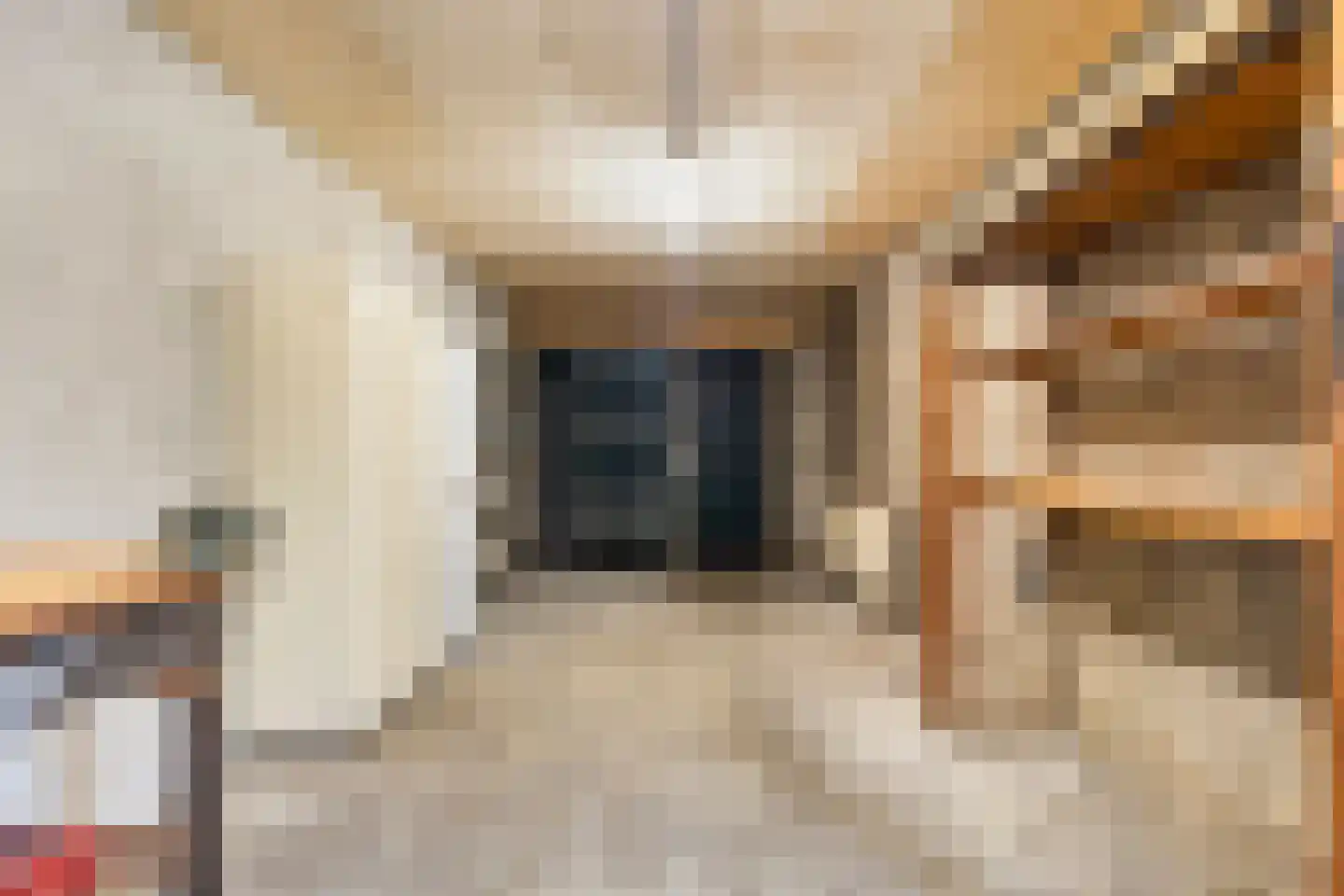 Noordermeent 23 Kraggenburg thumbnail 19