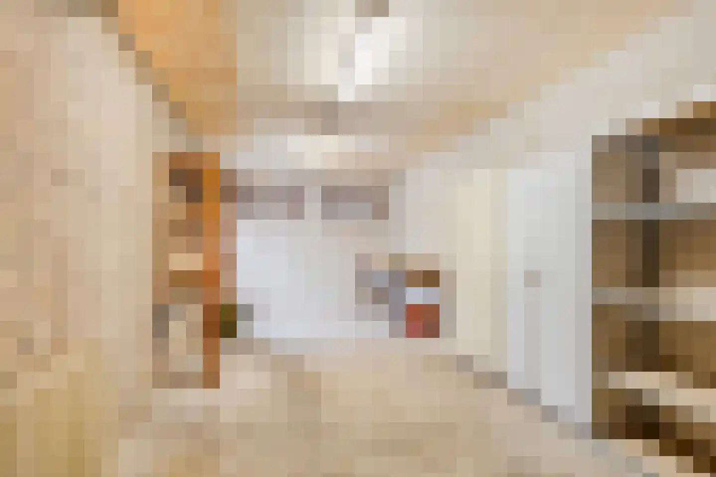 Noordermeent 23 Kraggenburg thumbnail 20