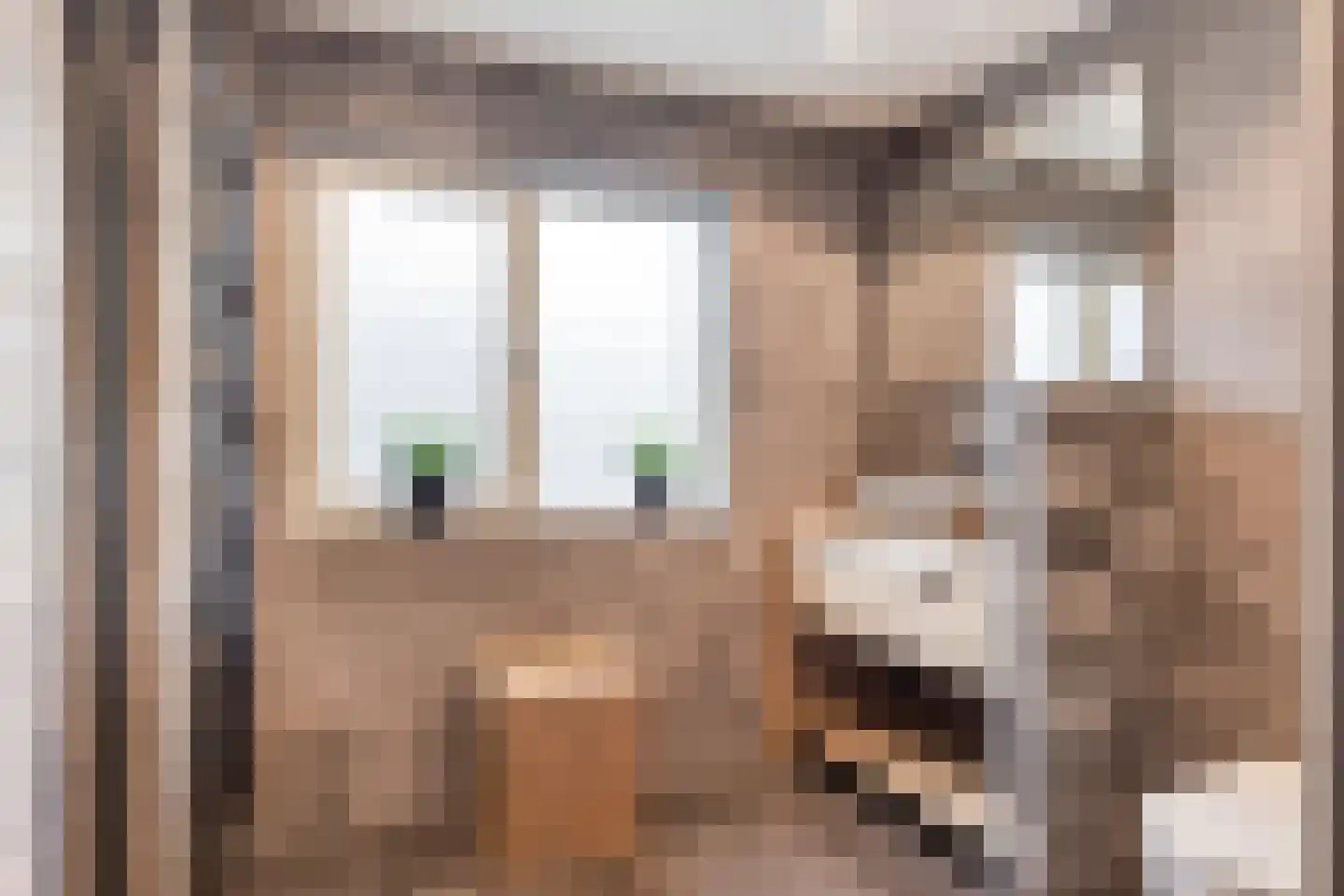 Noordermeent 23 Kraggenburg thumbnail 24