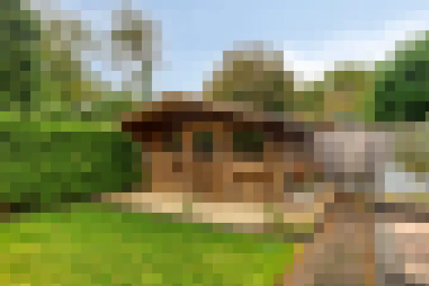 Noordermeent 23 Kraggenburg thumbnail 38