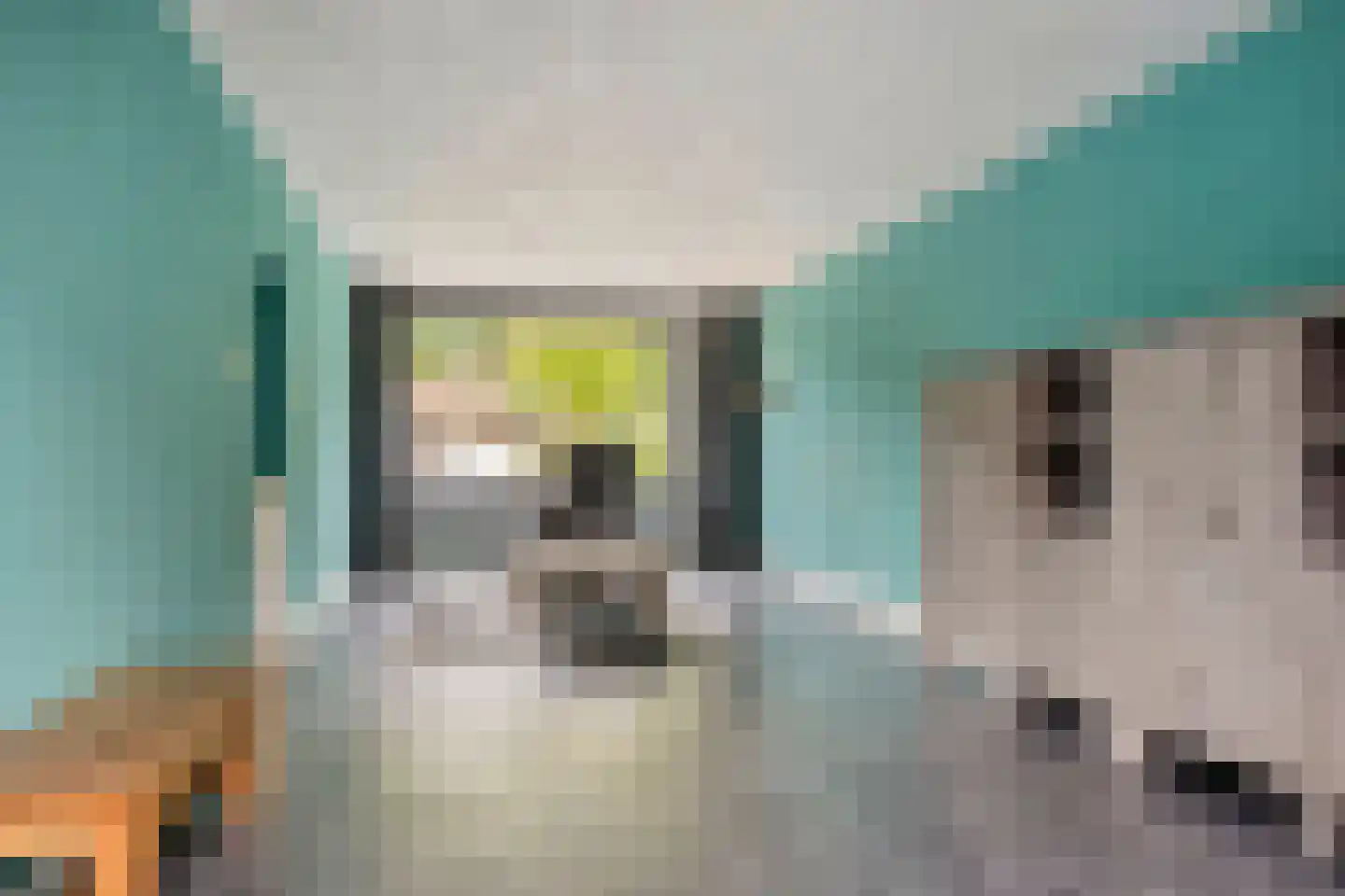Noordermeent 23 Kraggenburg thumbnail 8
