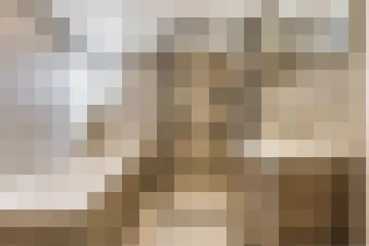 Noordermeent 43 Kraggenburg thumbnail 10