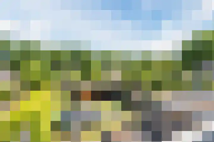 Noordermeent 43 Kraggenburg thumbnail 14