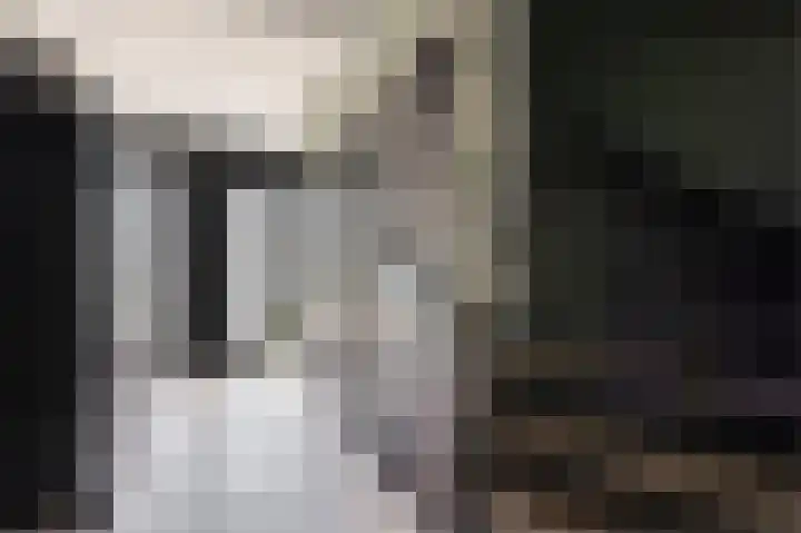 Noordermeent 43 Kraggenburg thumbnail 19