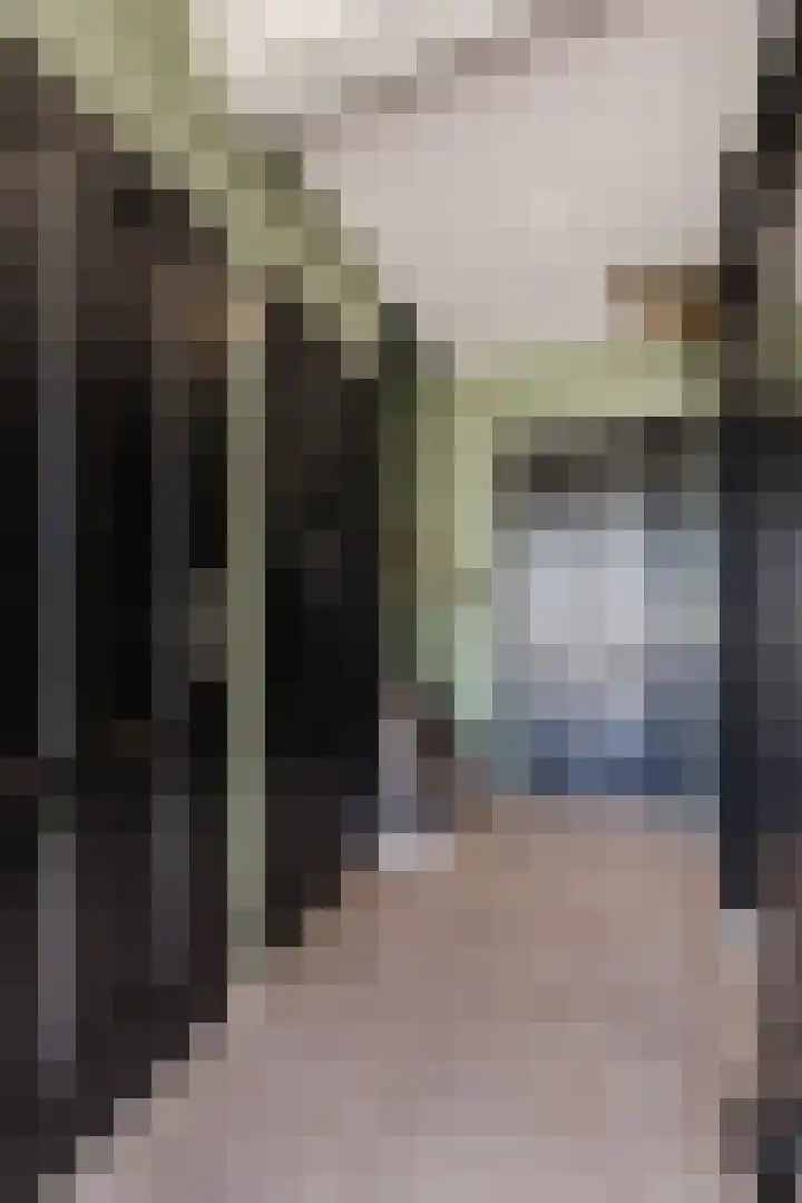 Noordermeent 43 Kraggenburg thumbnail 21