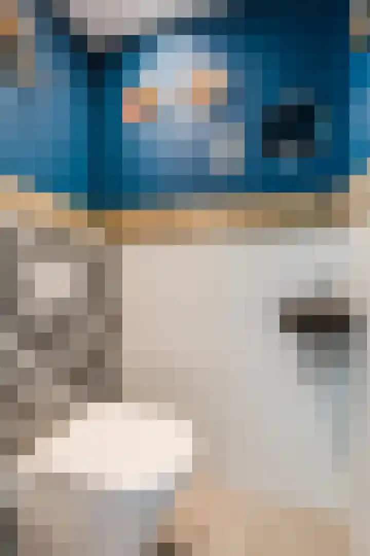 Noordermeent 43 Kraggenburg thumbnail 22