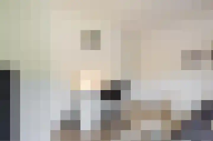 Noordermeent 43 Kraggenburg thumbnail 27