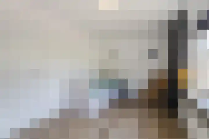 Noordermeent 43 Kraggenburg thumbnail 28