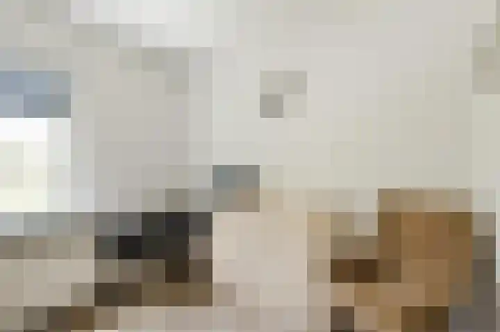 Noordermeent 43 Kraggenburg thumbnail 30