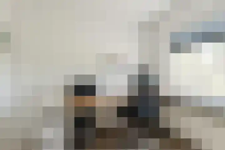 Noordermeent 43 Kraggenburg thumbnail 31