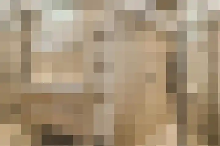 Noordermeent 43 Kraggenburg thumbnail 32