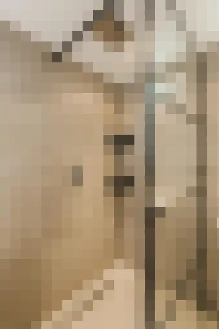 Noordermeent 43 Kraggenburg thumbnail 33