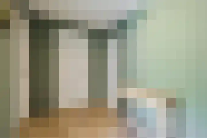 Noordermeent 43 Kraggenburg thumbnail 34