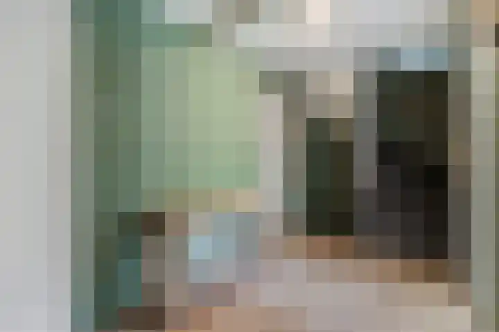 Noordermeent 43 Kraggenburg thumbnail 35