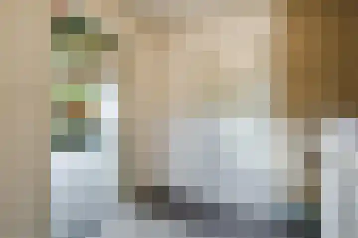 Noordermeent 43 Kraggenburg thumbnail 38