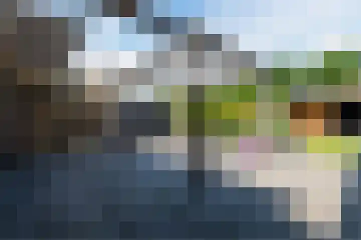 Noordermeent 43 Kraggenburg thumbnail 42