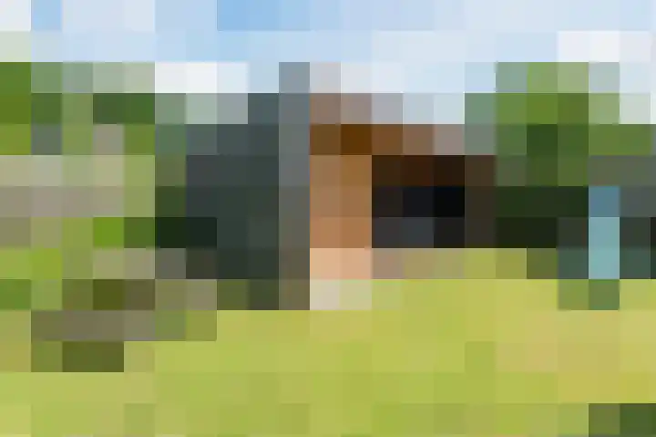 Noordermeent 43 Kraggenburg thumbnail 44