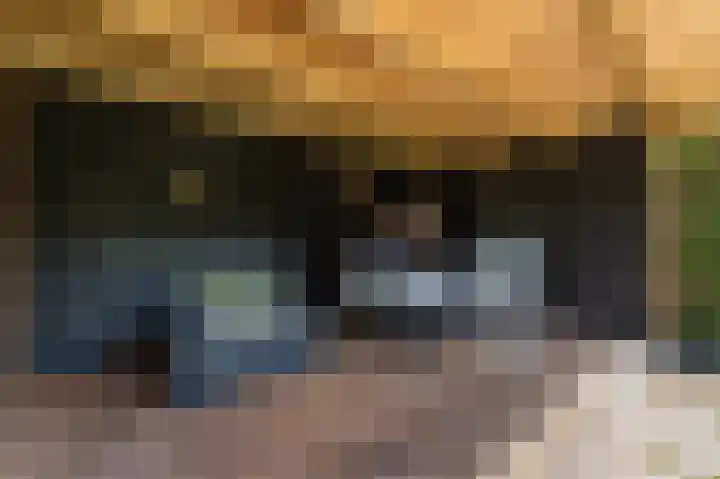 Noordermeent 43 Kraggenburg thumbnail 45