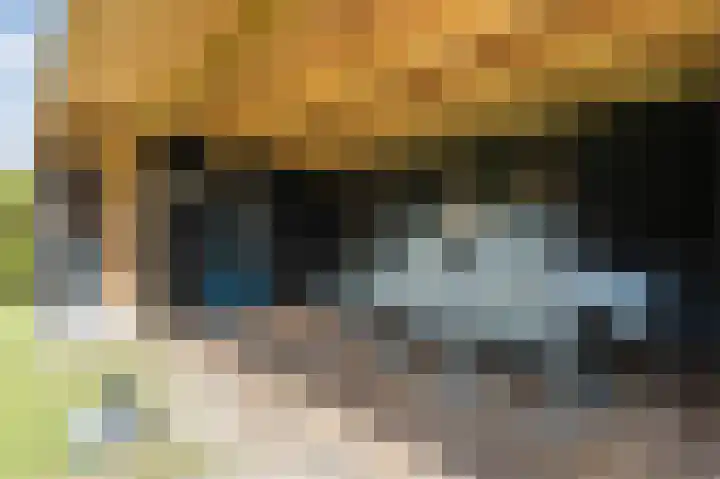 Noordermeent 43 Kraggenburg thumbnail 46