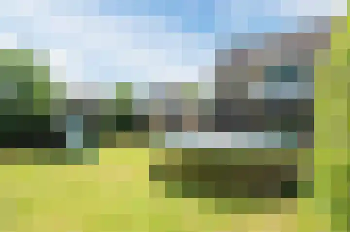 Noordermeent 43 Kraggenburg thumbnail 48