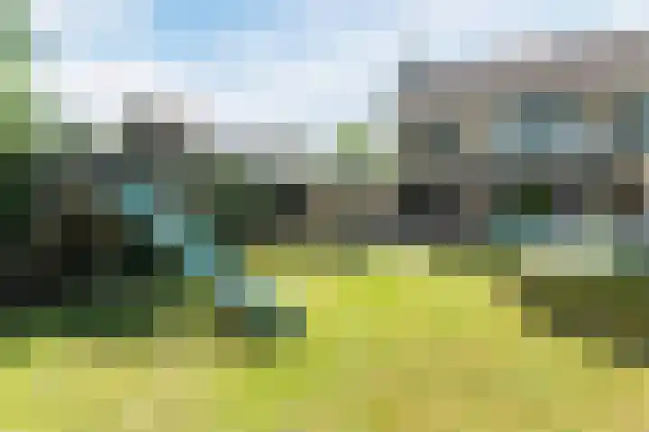 Noordermeent 43 Kraggenburg thumbnail 49