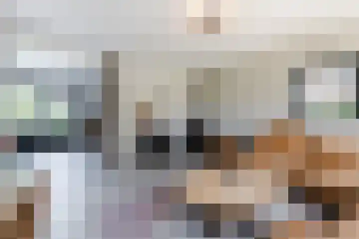 Noordermeent 43 Kraggenburg thumbnail 5