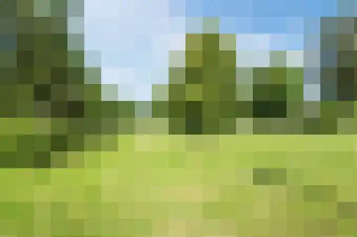 Noordermeent 43 Kraggenburg thumbnail 55