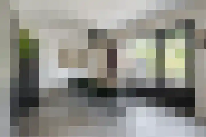 Noordermeent 43 Kraggenburg thumbnail 7