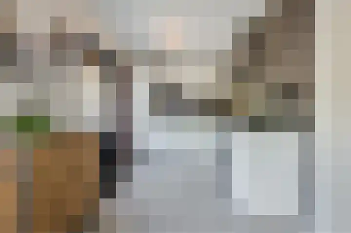 Noordermeent 43 Kraggenburg thumbnail 8