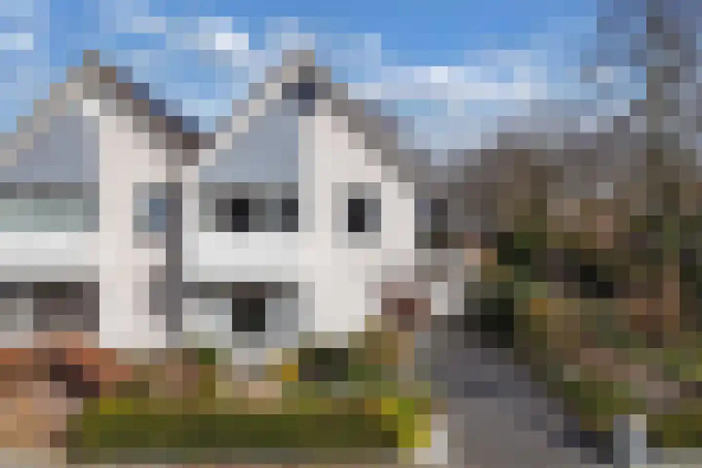 Noordermeent 9 Kraggenburg thumbnail 10