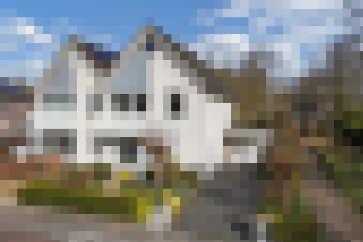 Noordermeent 9 Kraggenburg thumbnail 12