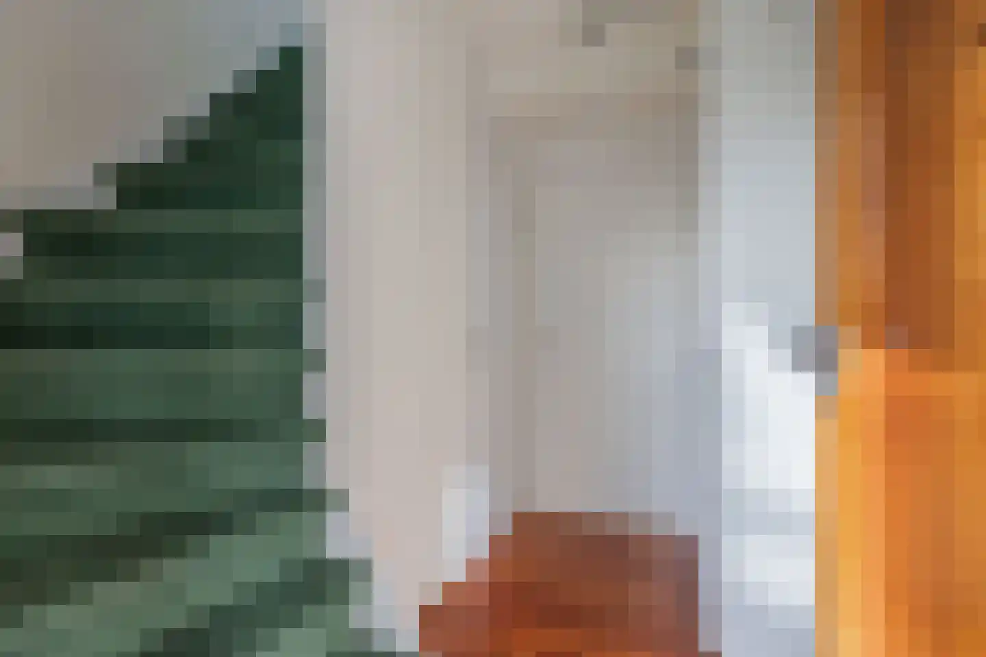 Noordermeent 9 Kraggenburg thumbnail 14