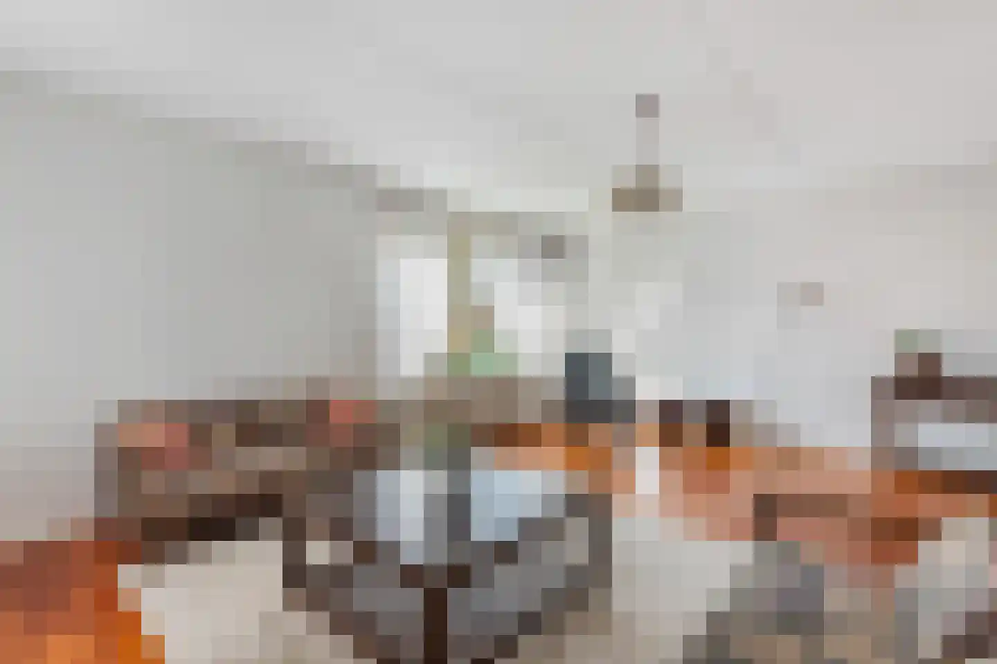Noordermeent 9 Kraggenburg thumbnail 21