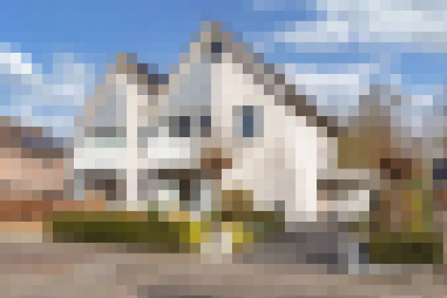 Noordermeent 9 Kraggenburg thumbnail 4
