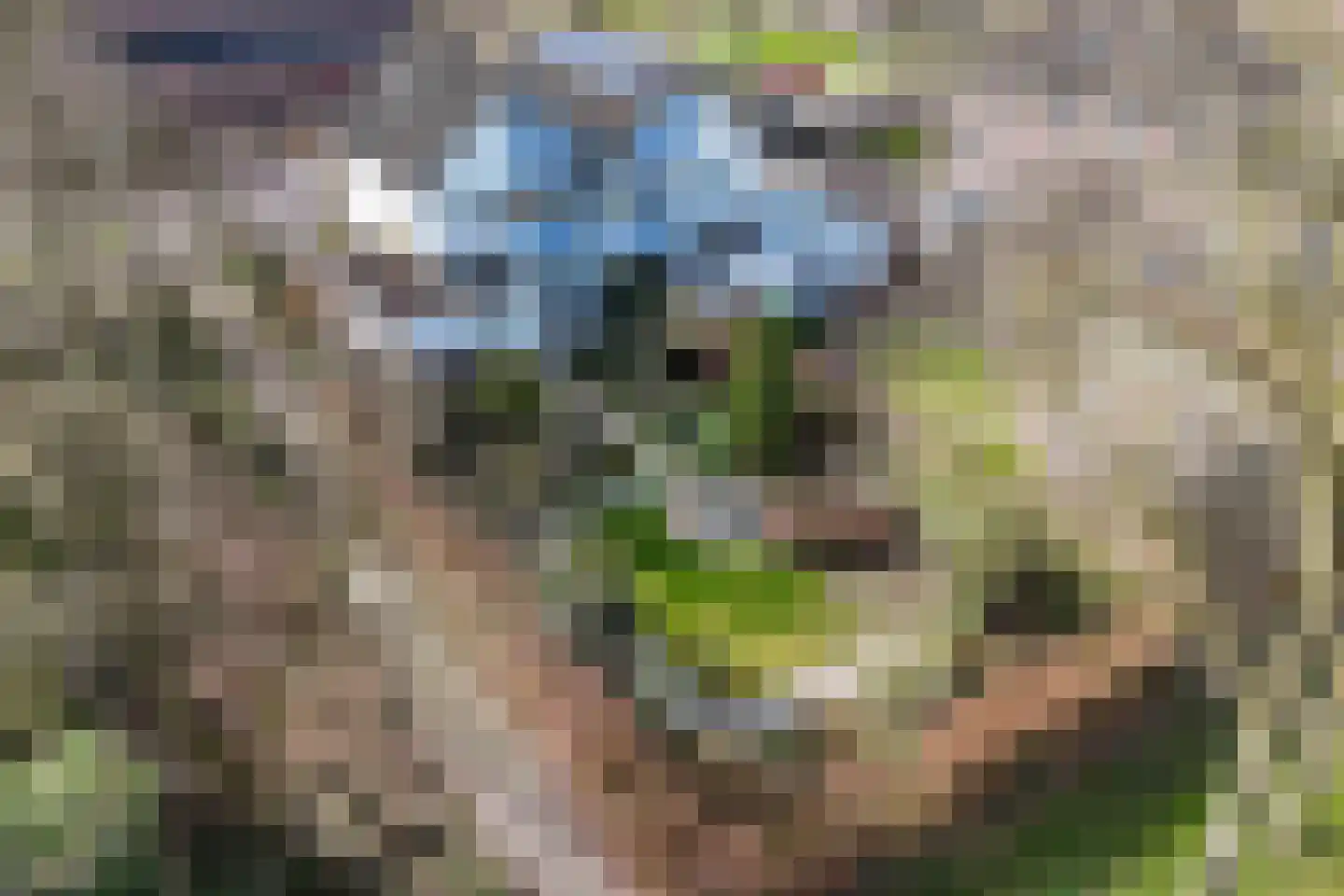 Noordermeent 9 Kraggenburg thumbnail 41