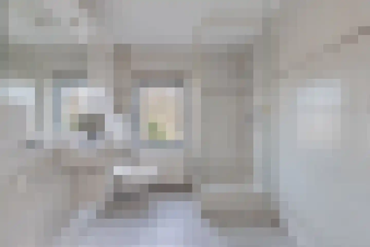 Noordermeent 9 Kraggenburg thumbnail 50
