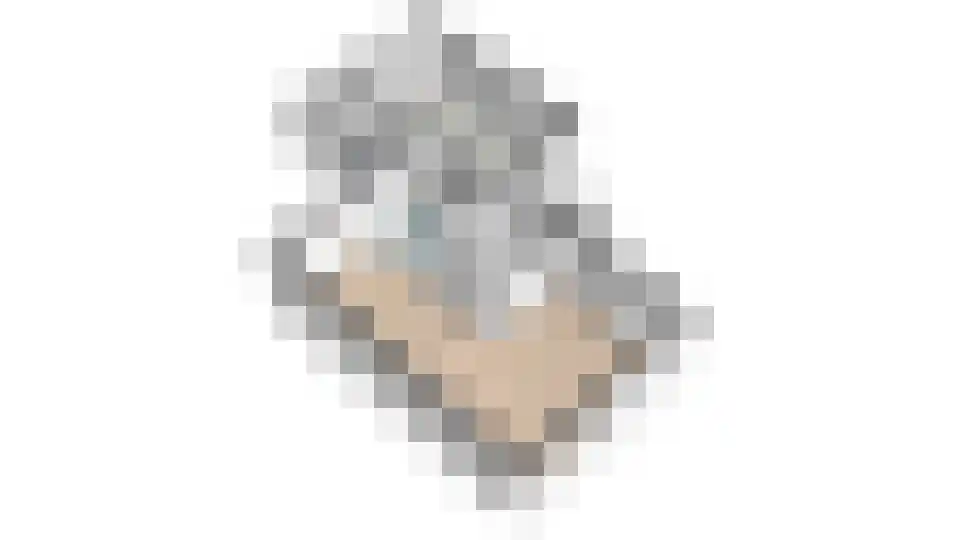 Noordermeent 9 Kraggenburg thumbnail 58